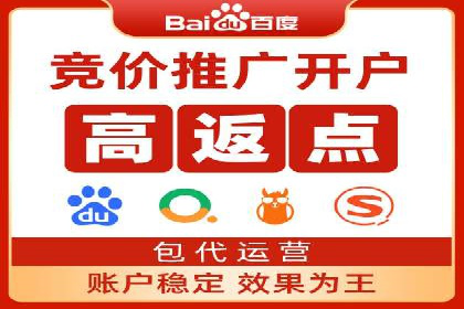 竞价广告的投放策略与网络推广的实践案例